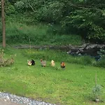 Les Sittelles De Bamboche 3* Saint-Symphorien-sur-Coise