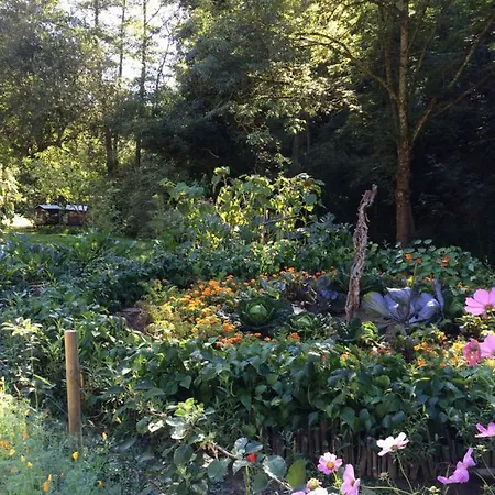Les Sittelles De Bamboche Saint-Symphorien-sur-Coise