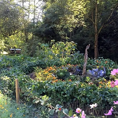 Les Sittelles De Bamboche Saint-Symphorien-sur-Coise