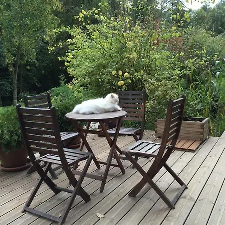 Les Sittelles De Bamboche