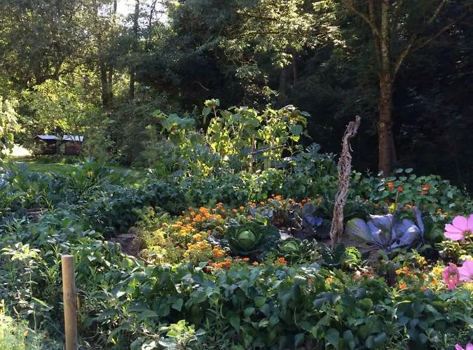 Les Sittelles De Bamboche Saint-Symphorien-sur-Coise